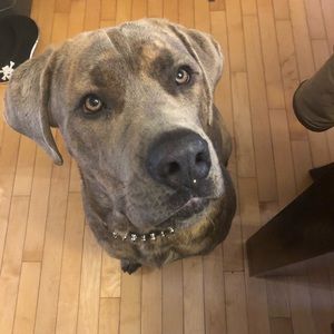 Meet your Posher, Megan